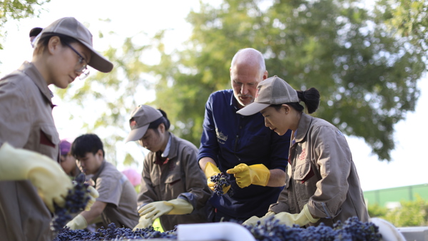 Harvest 2017: China