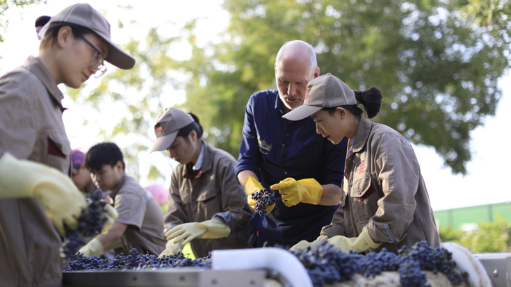 Harvest 2017: China