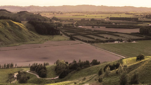 Harvest 2017: New Zealand