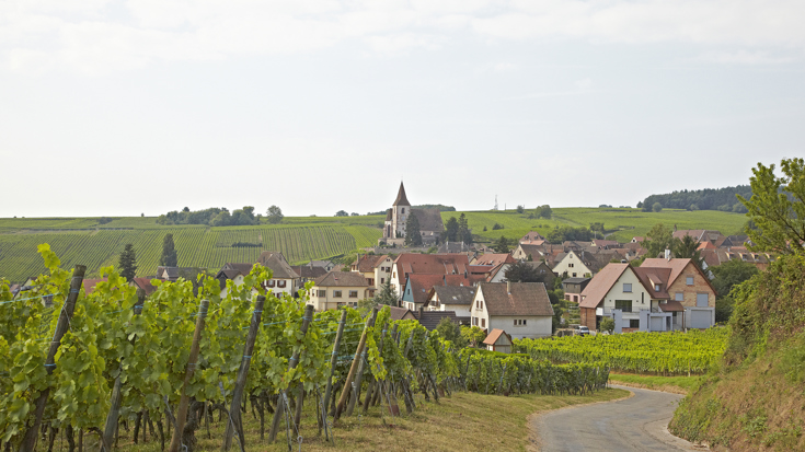 Regions of France