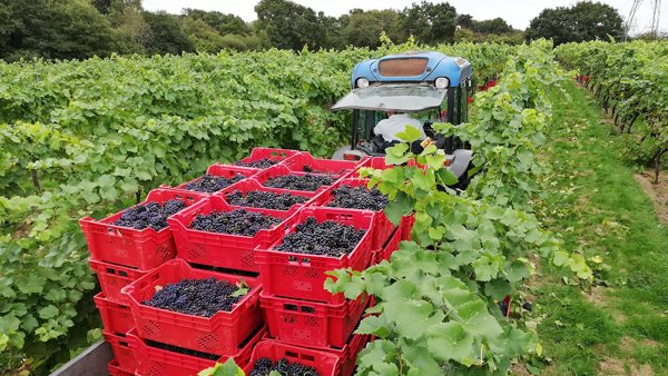 Harvest 2018: England