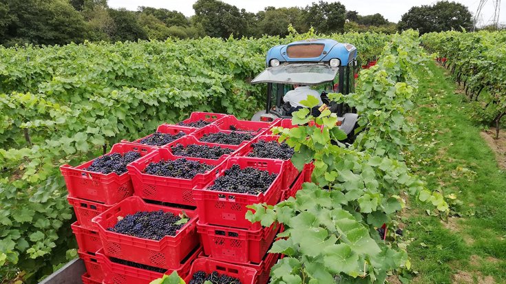 Harvest 2018: England