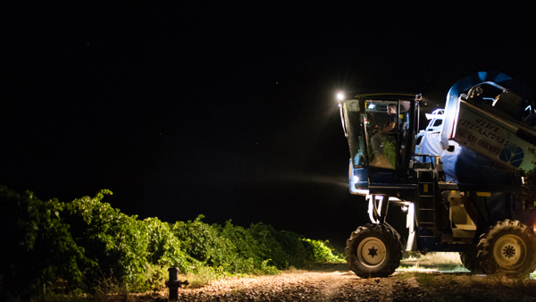 Harvest 2018: Spain and Portugal