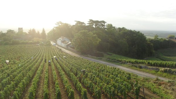 Stripping back the Loire