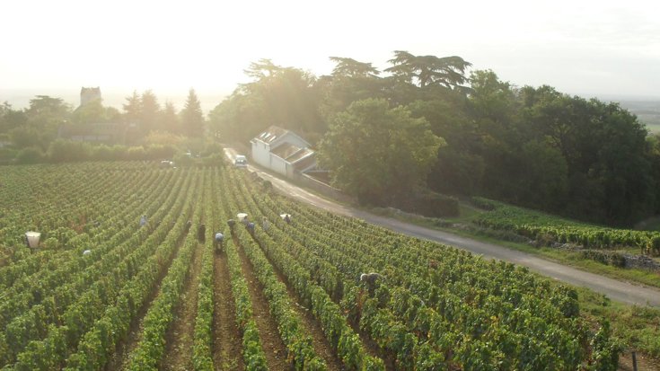 Stripping back the Loire