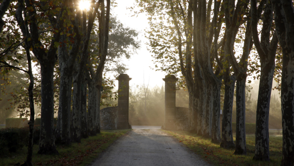 Championing biodiversity in Bordeaux