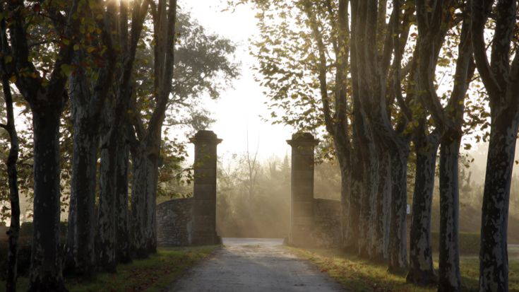 Championing biodiversity in Bordeaux