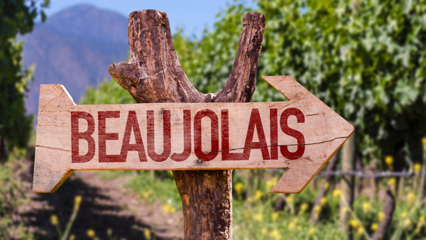 Beautiful Bojo... falling in love with Beaujolais all over again