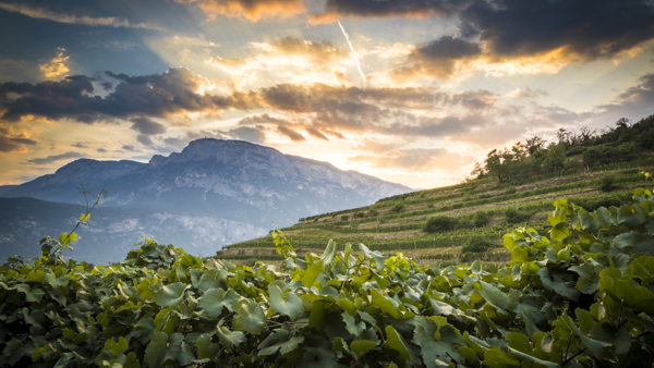 Stars of sparkling: the Ferrari Trento story