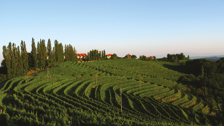 Furmint February with Puklavec Family Wines