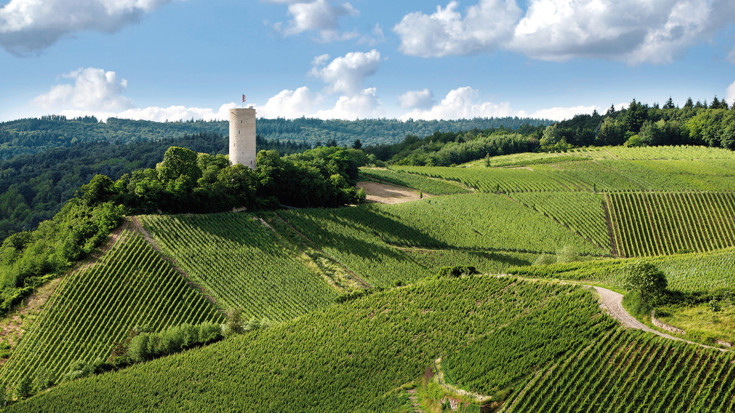 Robert Weil – the home of Grosses Gewächs Riesling