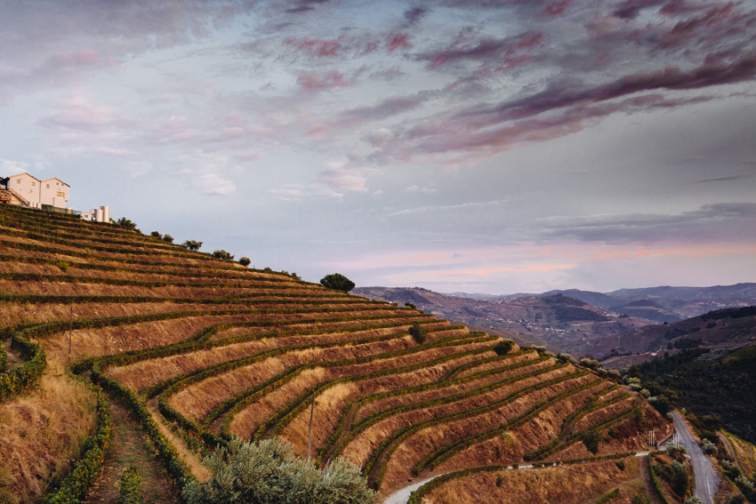 sloped vineyards in Douro, Portugal's oldest wine region