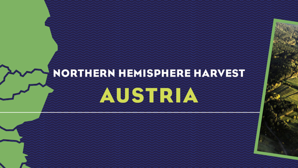 Harvest Report 2022: Austria