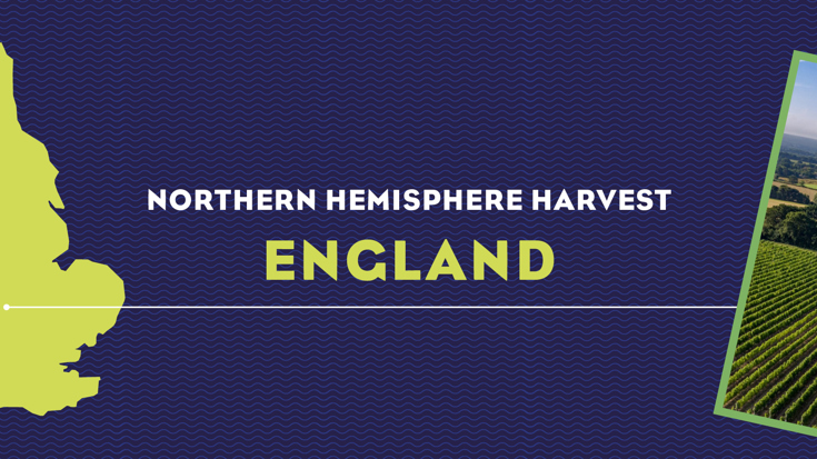 Harvest Report 2022: England