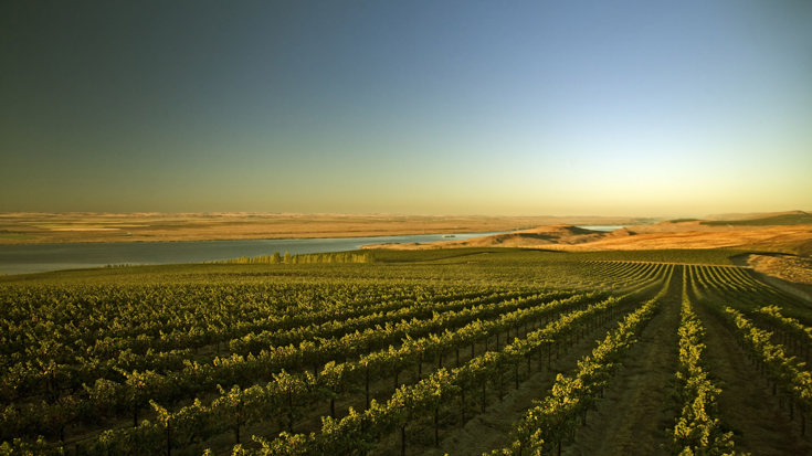 C&C group adds renowned Ste. Michelle Wine Estates to wine portfolio