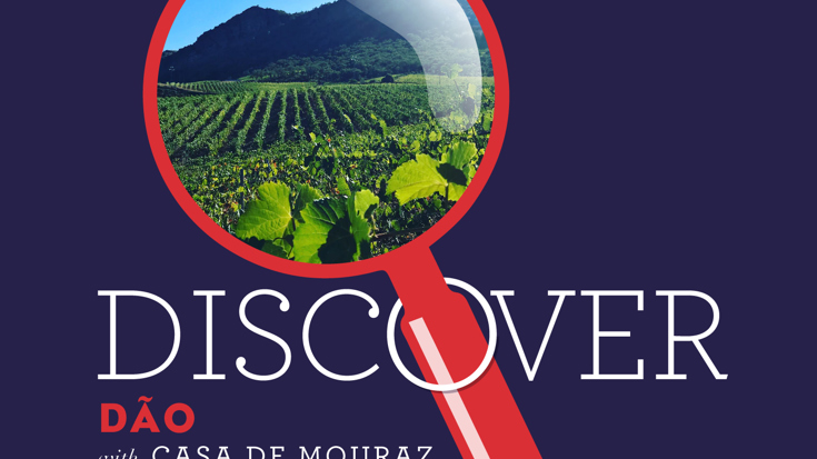 Discover Dao with Casa de Mouraz