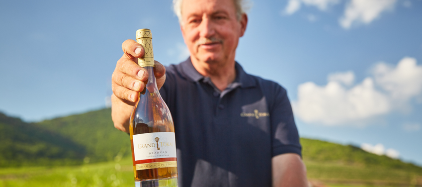 Grand Tokaj wine from the Tokaj wine region in Hungary