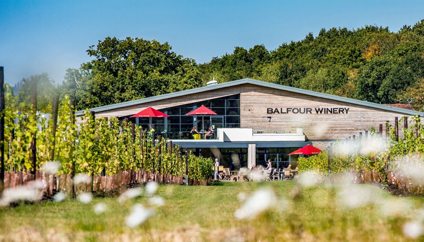 Balfour winery in kent