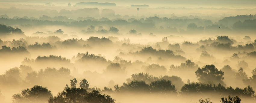 mist in the Tokaj region of Hungary